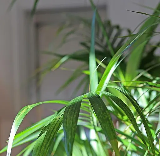 Haus Der Begegnung Gosau